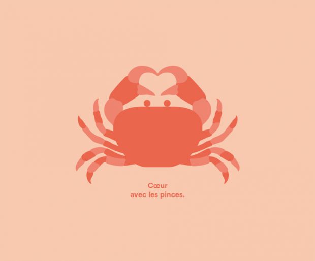 illustration laurence bentz crabe.jpg - Laurence BENTZ | Virginie